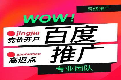 某行业领军企业的SEM广告投放策略